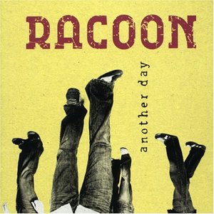 Racoon